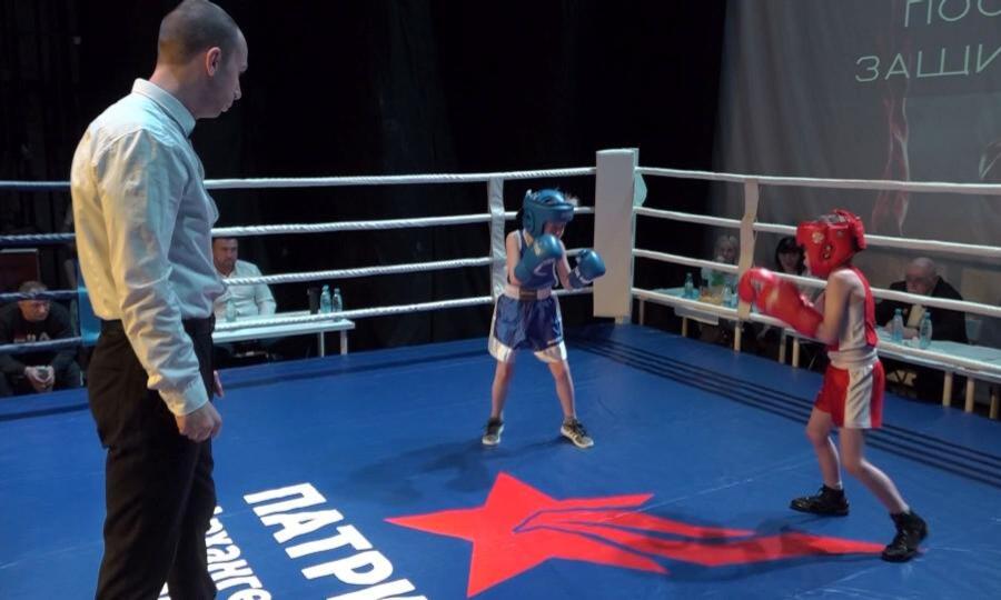 Юные спортсмены Поморья выступили на фестивале бокса в Архангельске