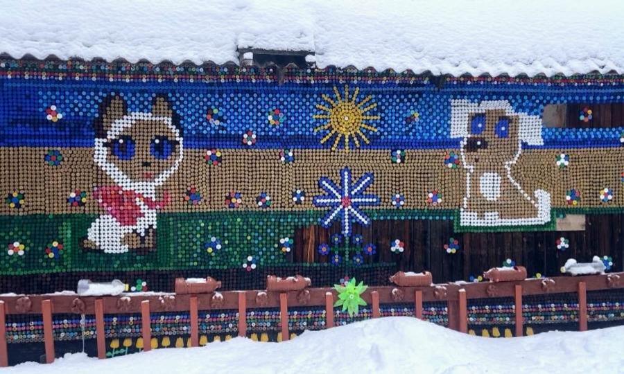 В Вельске местная жительница украсила дом пластиковыми крышками