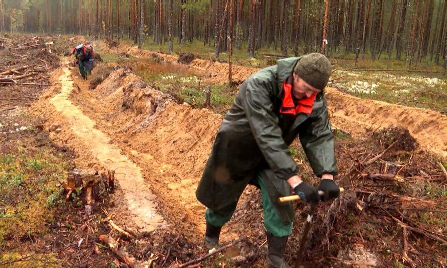 Архангельская область готовится к лесопожарному периоду