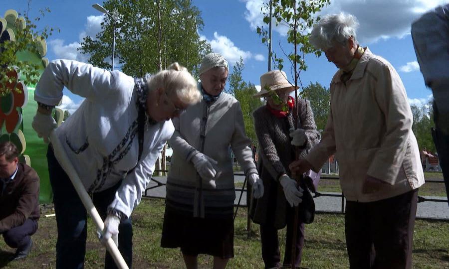 В память о погибших в Великой Отечественной войне озеленили сквер в Северном округе Архангельска