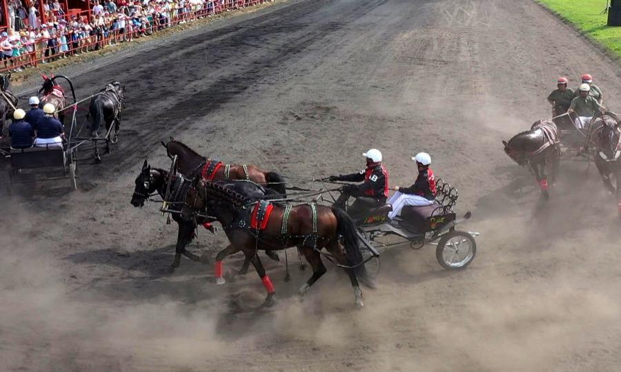 В Вельском районе подвели итоги конно-спортивных соревнований 