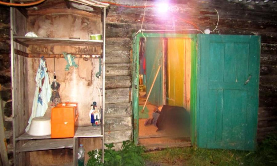 В Плесецком округе задержали подозреваемого в убийстве