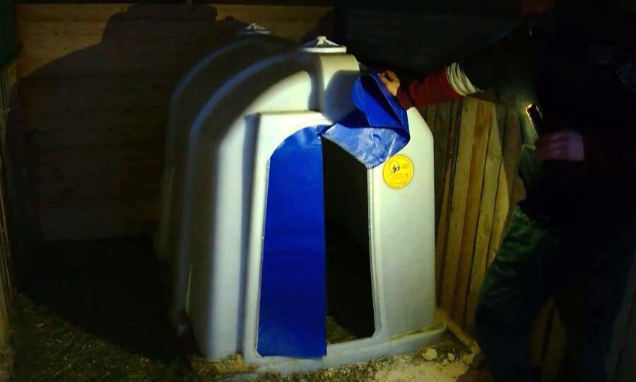 Устойчивые к морозам будки для собак появились в Котласском приюте 
