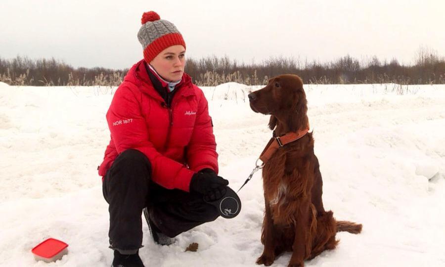 В Поморье проходят тренировки собак и их хозяев дл