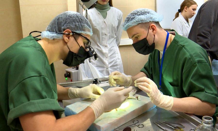 В столице Поморья завершили соревнования будущие хирурги со всего Северо-Запада