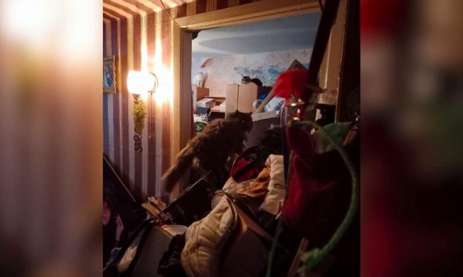 От соседки с синдромом Плюшкина страдают жильцы одного из домов в Коряжме