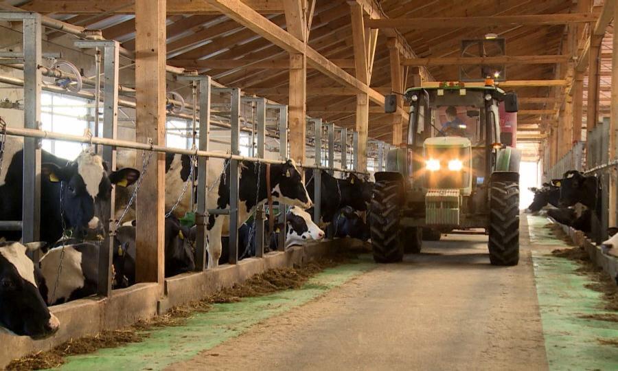 Увеличить субсидию на молоко с 6 до 10 рублей за литр просят сельхозтоваропроизводители
