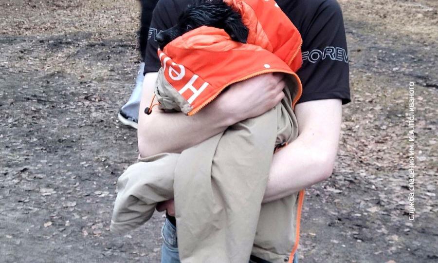 В Архангельске спасатели помогли щенку, который провалился в старый колодец