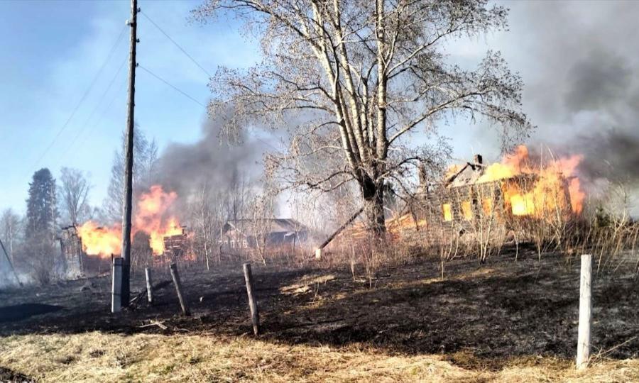 Непотушенный костёр, по предварительным данным, стал причиной пожара в деревне Сидоровской в Виноградовском округе