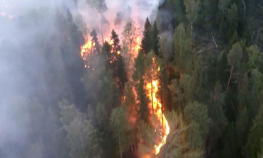 В Поморье с начала пожароопасного сезона уже произошло четыре лесных возгорания