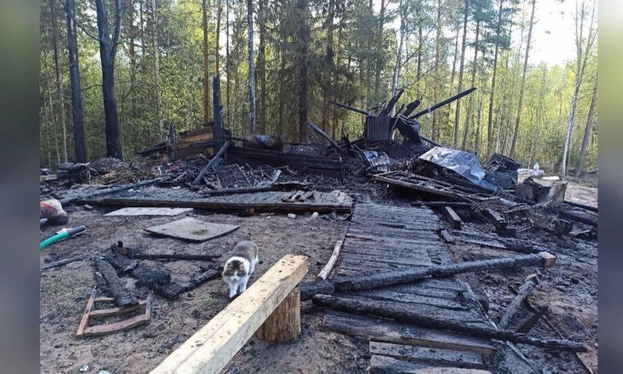 Страшный пожар уничтожил дом семьи Кирилловых-Голубцовых из Северодвинска