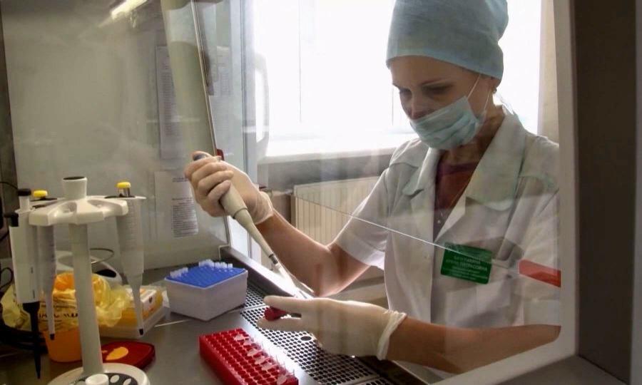 5 тысяч 814 случаев присасывания клещей с начала сезона зафиксировали в Роспотребнадзоре по Архангельской области