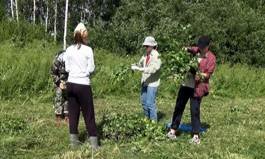 Волонтёрские лагеря — одно из активных направлений деятельности Кенозерского национального парка