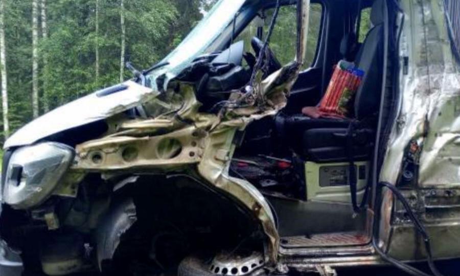 На трассе М-8 микроавтобус с пассажирами столкнулся с лесовозом — есть пострадавшие