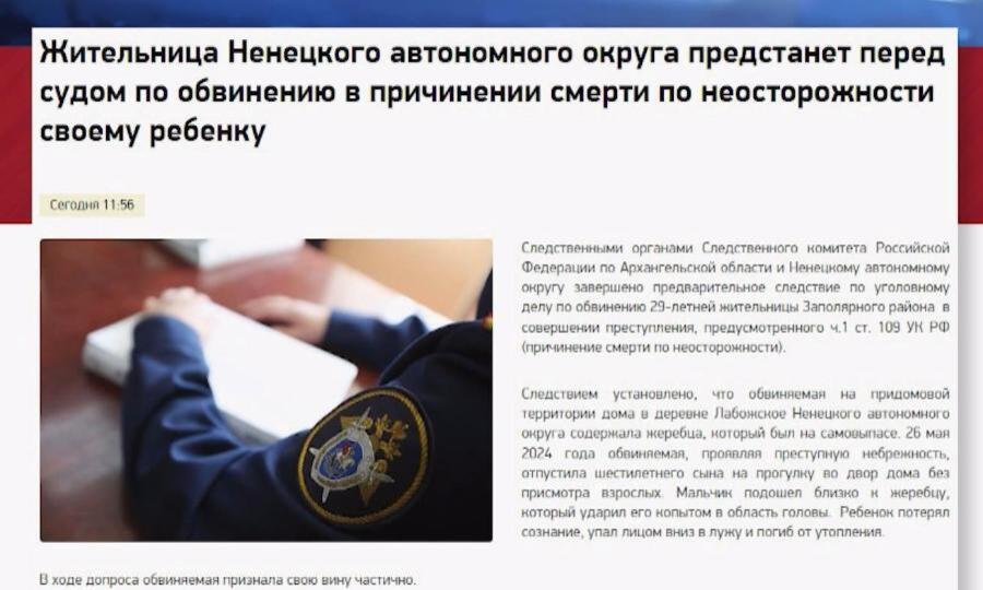 В Ненецком округе по статье «Причинение смерти по неосторожности» будут судить мать погибшего ребёнка