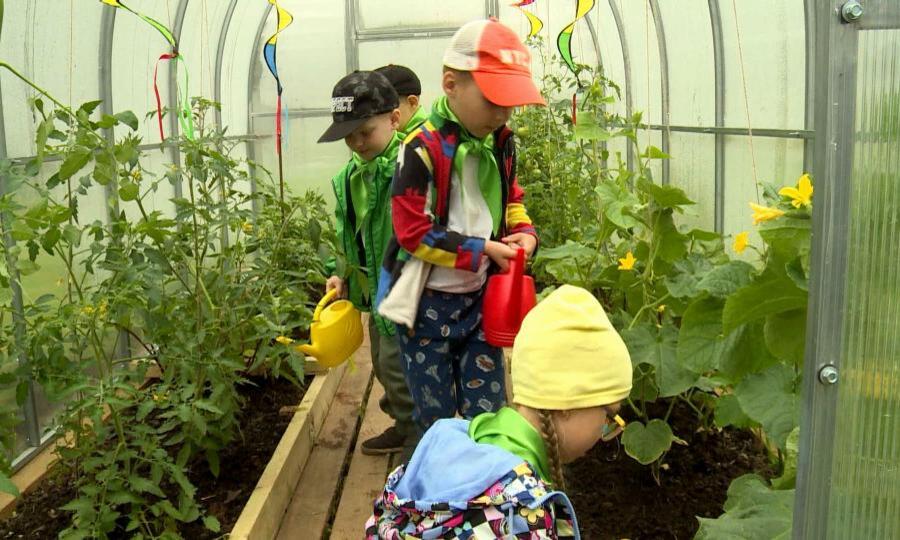 В Архангельске воспитанники детского сада «Мирославна» осваивают профессию агронома