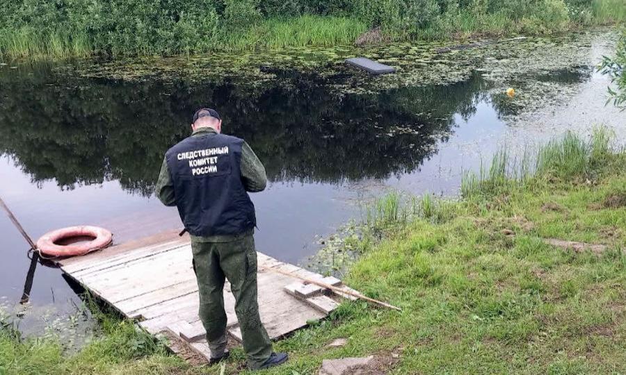 В Виноградовском округе сегодня днём в озере у деревни Усть-Вага утонули 8-летний мальчик и 7-летняя девочка