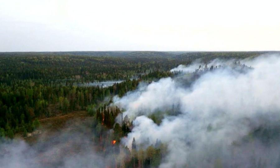 46 лесных пожаров произошло в Поморье с начала пожароопасного сезона