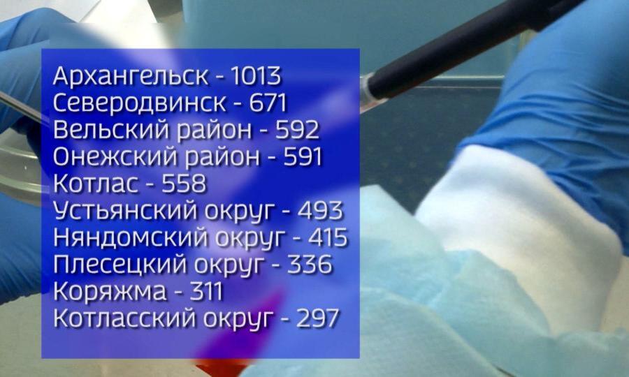 Почти 7,5 тысяч северян обратились в медицинские организации из-за укусов клещей