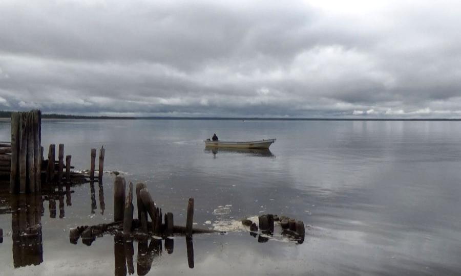 Выставку, посвящённую Онежскому берегу Белого моря, готовит Кенозерский нацпарк