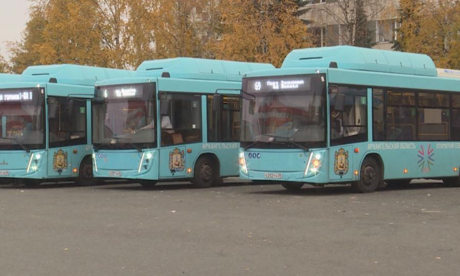 Анамның ормандағы секс видеосы